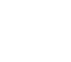 Nitzer Ebb Logo