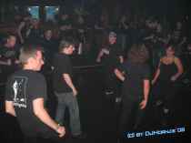 IMG_2667.jpg